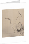 Crane Among Reeds, 1887-92 by Gyokusho Kawabata