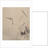 Crane Among Reeds, 1887-92 by Gyokusho Kawabata