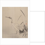 Crane Among Reeds, 1887-92 by Gyokusho Kawabata