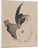 Cock and Hen, 1887-92 by Gyokusho Kawabata