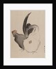 Cock and Hen, 1887-92 by Gyokusho Kawabata