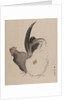 Cock and Hen, 1887-92 by Gyokusho Kawabata