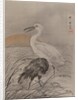 Cranes in Marsh, ca. 1887 by Kawanabe Kyosai