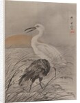 Cranes in Marsh, ca. 1887 by Kawanabe Kyosai