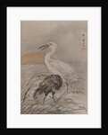 Cranes in Marsh, ca. 1887 by Kawanabe Kyosai