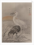 Cranes in Marsh, ca. 1887 by Kawanabe Kyosai
