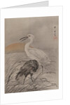 Cranes in Marsh, ca. 1887 by Kawanabe Kyosai