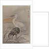 Cranes in Marsh, ca. 1887 by Kawanabe Kyosai