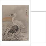 Cranes in Marsh, ca. 1887 by Kawanabe Kyosai