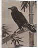 Crow on a Bamboo Branch, ca. 1887 by Kawanabe Kyosai