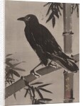 Crow on a Bamboo Branch, ca. 1887 by Kawanabe Kyosai