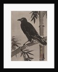 Crow on a Bamboo Branch, ca. 1887 by Kawanabe Kyosai