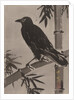 Crow on a Bamboo Branch, ca. 1887 by Kawanabe Kyosai
