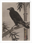 Crow on a Bamboo Branch, ca. 1887 by Kawanabe Kyosai