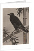 Crow on a Bamboo Branch, ca. 1887 by Kawanabe Kyosai