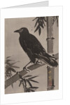 Crow on a Bamboo Branch, ca. 1887 by Kawanabe Kyosai
