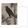 Crow on a Bamboo Branch, ca. 1887 by Kawanabe Kyosai
