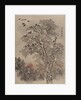 Flock of Crows at Dawn, ca. 1887 by Kawanabe Kyosai