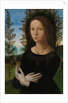 Portrait of a Young Woman, ca. 1490-1500 by Lorenzo di Credi