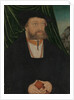 Portrait of a Man, 1537 by Unknown