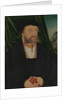 Portrait of a Man, 1537 by Unknown