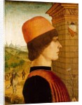 Portrait of a Man, possibly Matteo di Sebastiano di Bernardino Gozzadini, 1494 by Maestro delle Storie del Pane