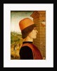 Portrait of a Man, possibly Matteo di Sebastiano di Bernardino Gozzadini, 1494 by Maestro delle Storie del Pane