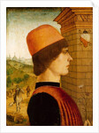 Portrait of a Man, possibly Matteo di Sebastiano di Bernardino Gozzadini, 1494 by Maestro delle Storie del Pane