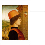 Portrait of a Man, possibly Matteo di Sebastiano di Bernardino Gozzadini, 1494 by Maestro delle Storie del Pane