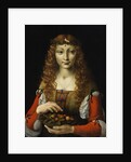 Girl with Cherries, ca. 1491-95 by Marco d'Oggiono