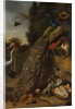 Peacocks, 1683 by Melchior d'Hondecoeter