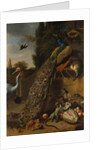 Peacocks, 1683 by Melchior d'Hondecoeter