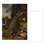 Peacocks, 1683 by Melchior d'Hondecoeter