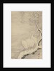 Herons in the Snow, ca. 1840 by Nakabayashi Chikuto