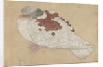 Bird, 18th century by Unknown