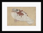 Bird, 18th century by Unknown