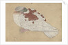 Bird, 18th century by Unknown