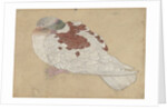 Bird, 18th century by Unknown