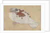 Bird, 18th century by Unknown
