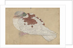 Bird, 18th century by Unknown