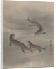 Otters Swimming, ca. 1890-92 by Seki Shuko