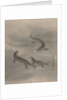 Otters Swimming, ca. 1890-92 by Seki Shuko