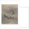 Otters Swimming, ca. 1890-92 by Seki Shuko