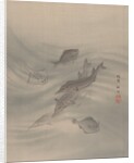 Fishes, ca. 1890-92 by Seki Shuko
