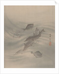 Fishes, ca. 1890-92 by Seki Shuko