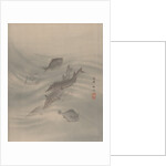 Fishes, ca. 1890-92 by Seki Shuko