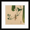 Lacquer Paintings of Various Subjects: Grasshopper on Gourd Vine, 1882 by Shibata Zeshin
