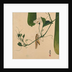 Lacquer Paintings of Various Subjects: Grasshopper on Gourd Vine, 1882 by Shibata Zeshin