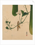 Lacquer Paintings of Various Subjects: Grasshopper on Gourd Vine, 1882 by Shibata Zeshin