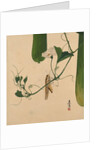 Lacquer Paintings of Various Subjects: Grasshopper on Gourd Vine, 1882 by Shibata Zeshin